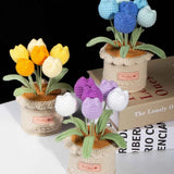Handmade Crochet Tulip Potted Plant | Forever Flower Gift for Her