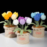 Handmade Crochet Tulip Potted Plant | Forever Flower Gift for Her