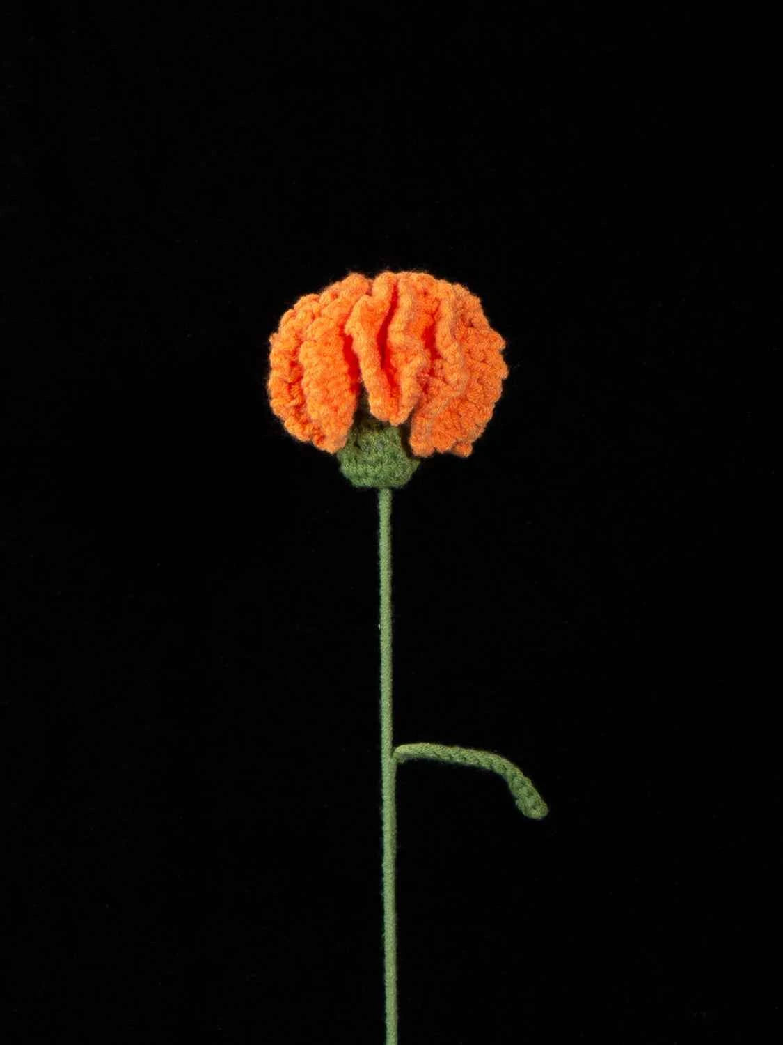 Handmade Crochet Carnation Flower-Aesthetic Home Decor