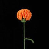 Handmade Crochet Carnation Flower-Aesthetic Home Decor