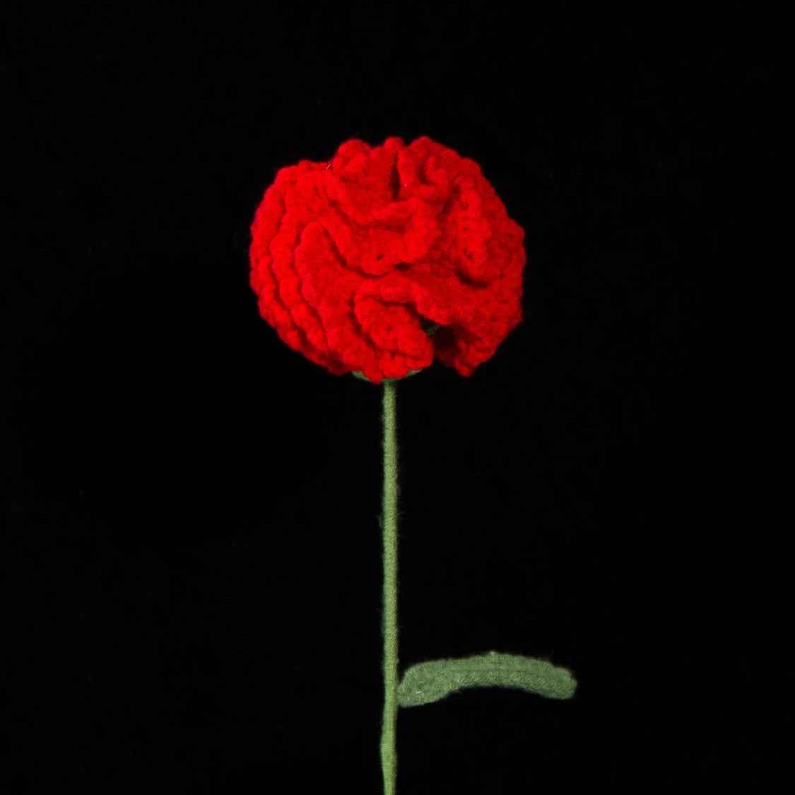 Handmade Crochet Carnation Flower-Aesthetic Home Decor