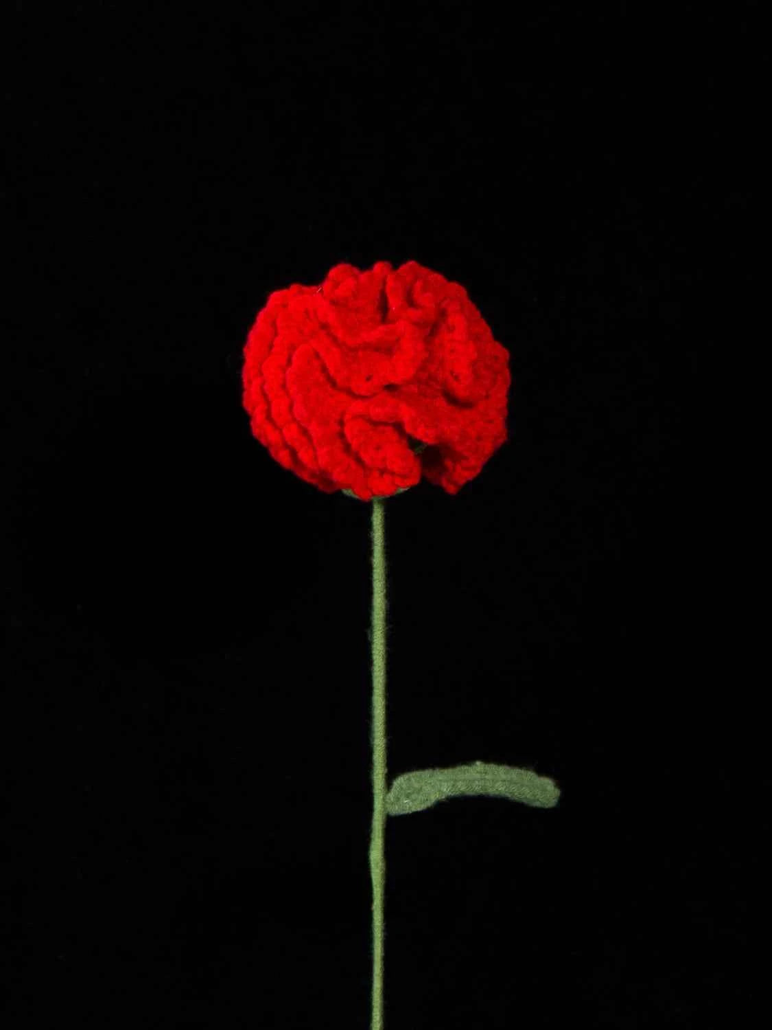 Handmade Crochet Carnation Flower-Aesthetic Home Decor