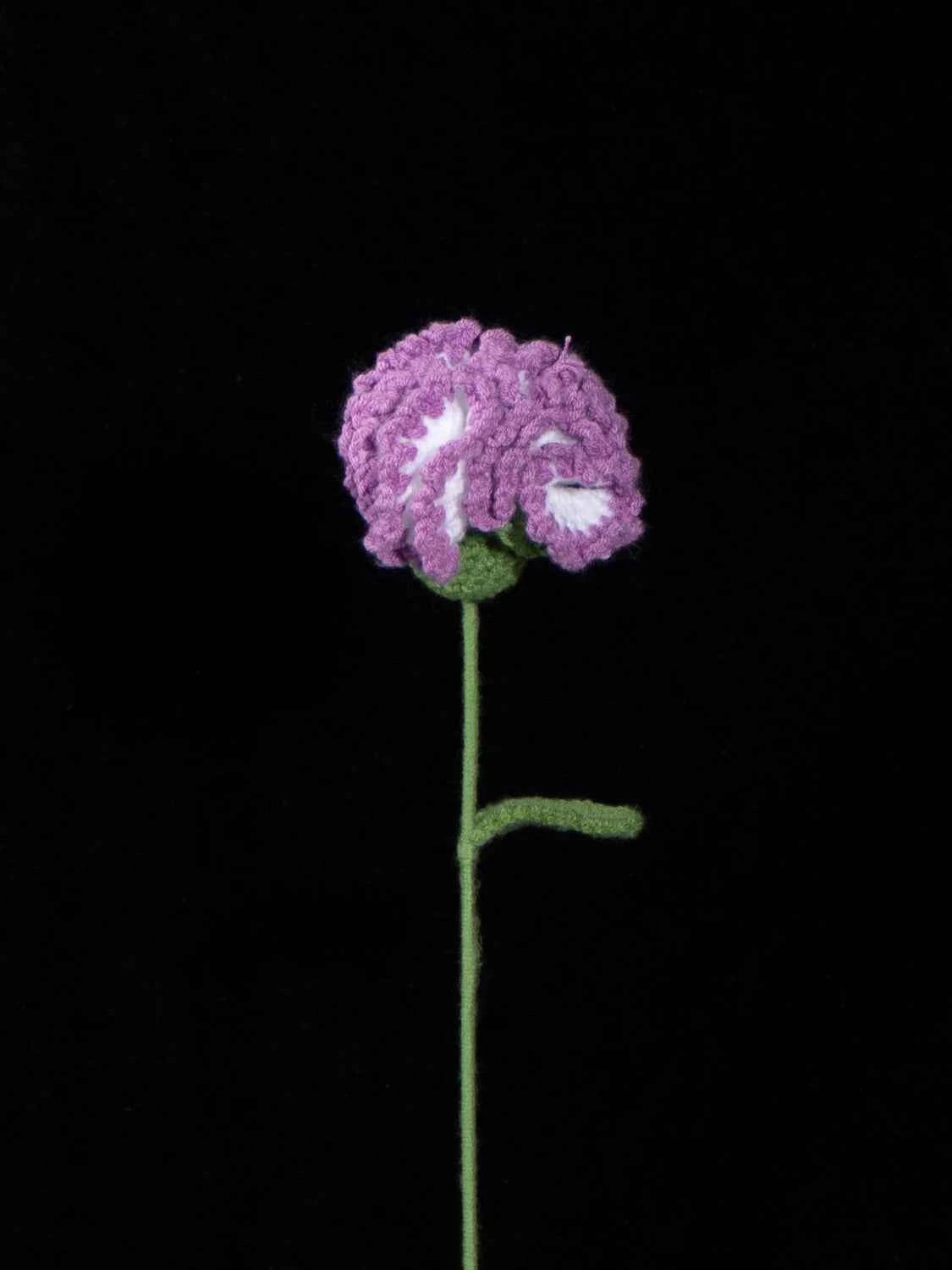 Handmade Crochet Carnation Flower-Aesthetic Home Decor