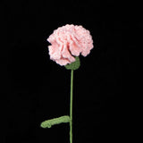 Handmade Crochet Carnation Flower-Aesthetic Home Decor