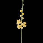 Handmade Crochet Larkspur– Everlasting Flower