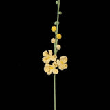 Handmade Crochet Larkspur– Everlasting Flower