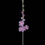 Handmade Crochet Larkspur– Everlasting Flower