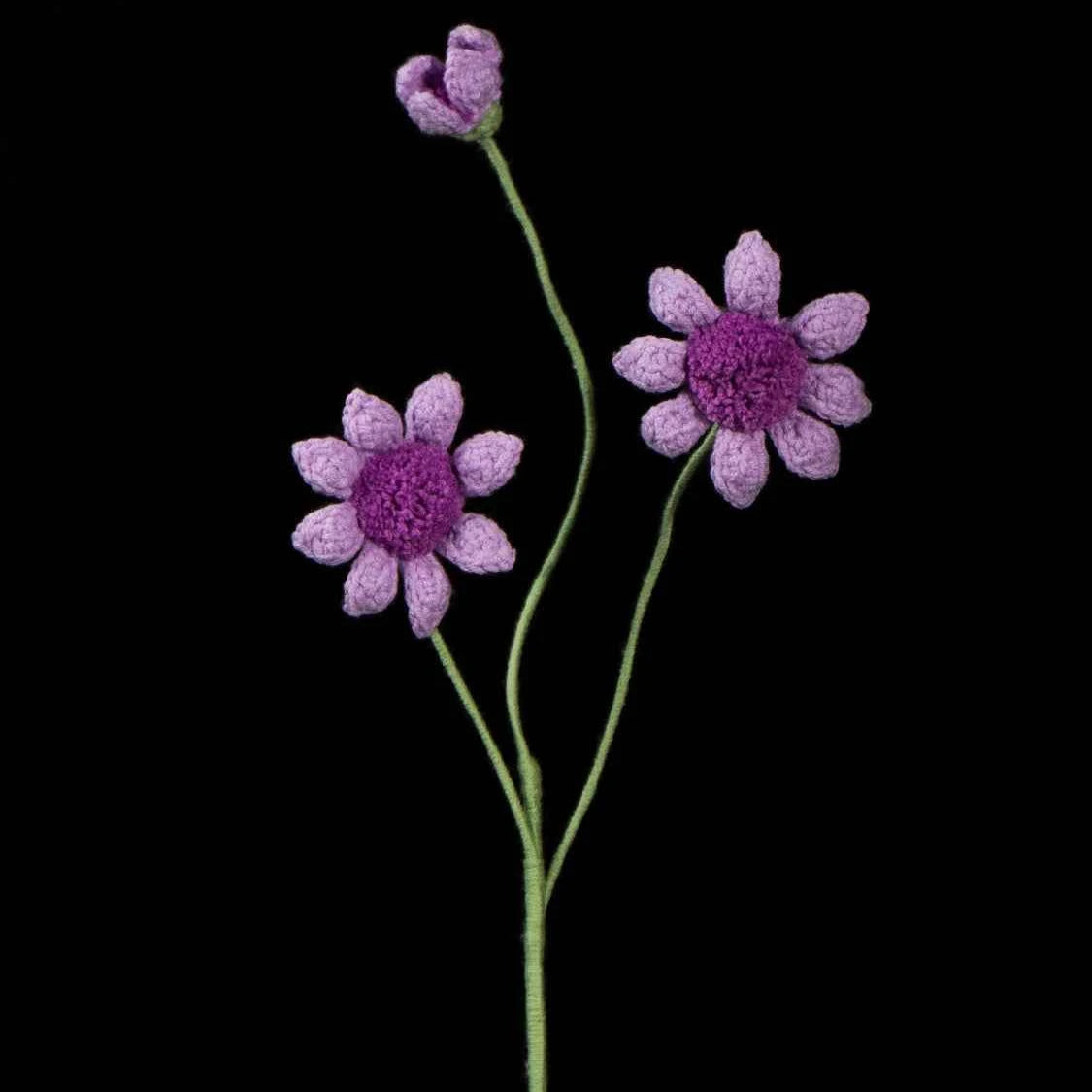 Handmade Crochet Osteospermum Flower