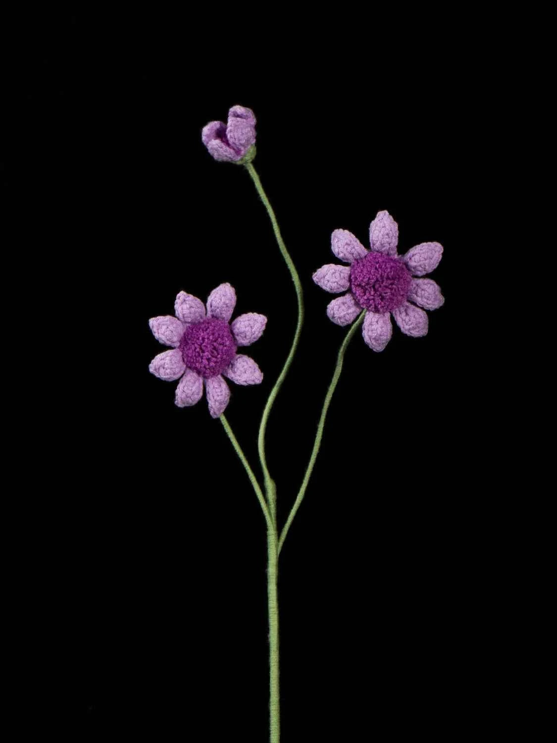 Handmade Crochet Osteospermum Flower