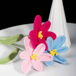 Tulip Crochet Kit | DIY Craft