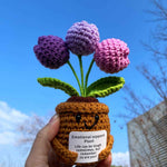 Handmade Crochet Emotional Support Plant Potted Flower