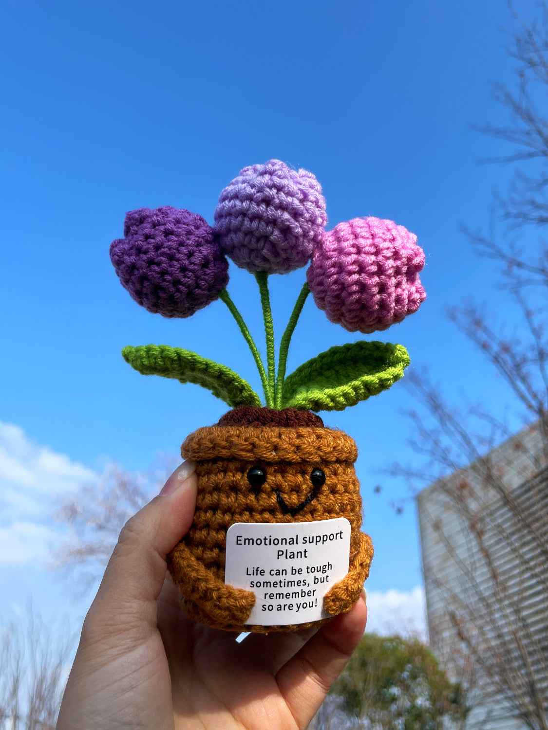 Handmade Crochet Emotional Support Plant Potted Flower