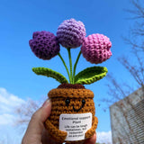 Handmade Crochet Emotional Support Plant Potted Flower