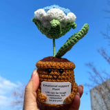 Handmade Crochet Emotional Support Plant Potted Flower