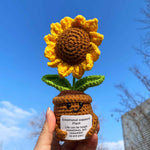Handmade Crochet Emotional Support Plant Potted Flower