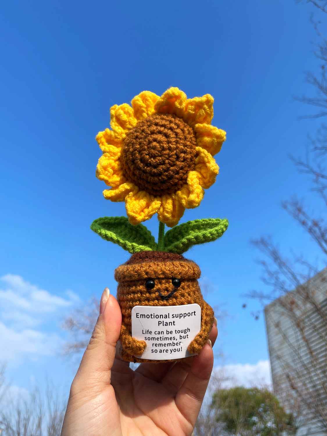Handmade Crochet Emotional Support Plant Potted Flower