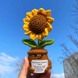 Handmade Crochet Emotional Support Plant Potted Flower
