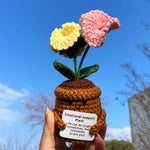 Handmade Crochet Emotional Support Plant Potted Flower