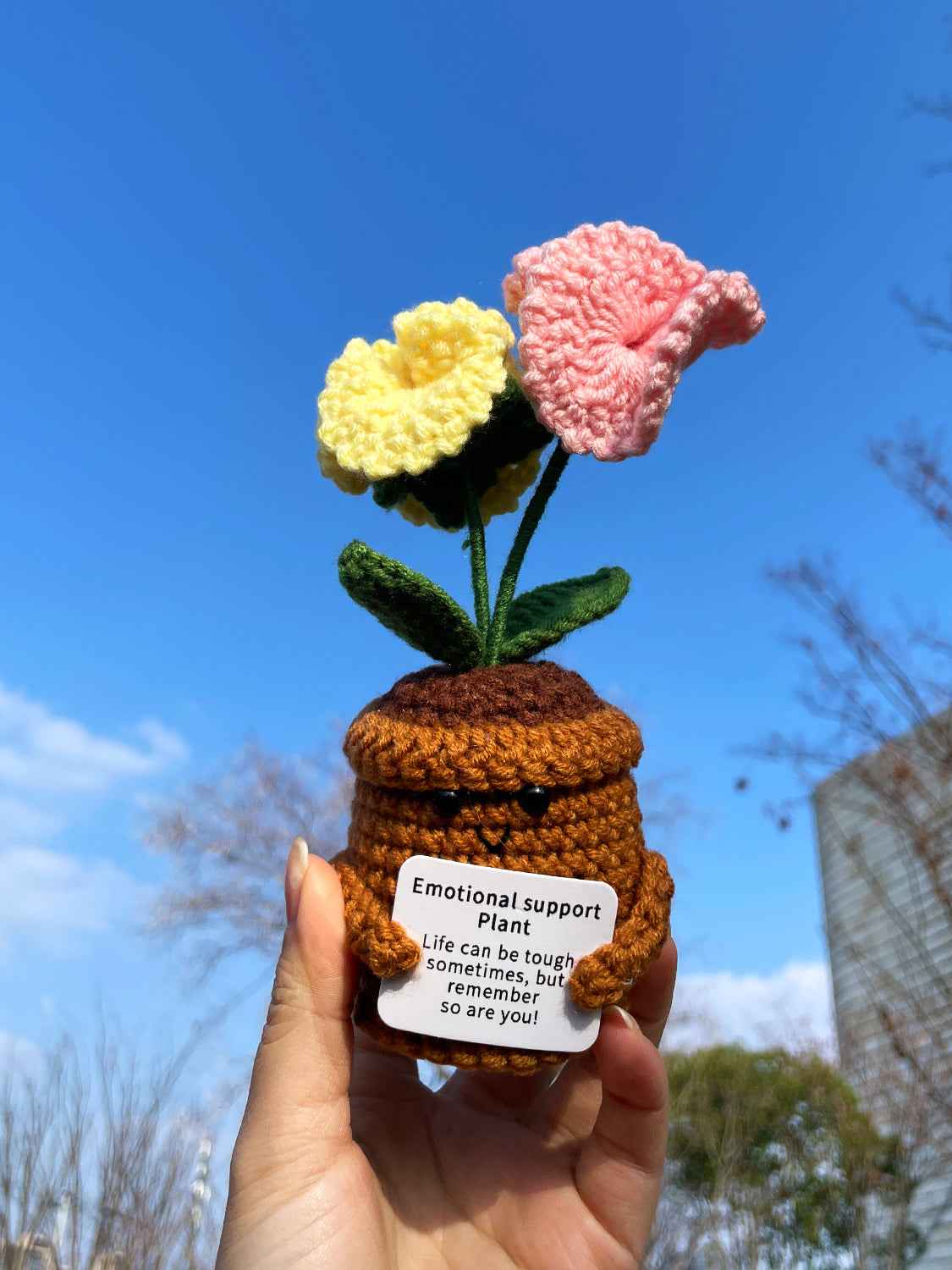 Handmade Crochet Emotional Support Plant Potted Flower