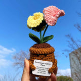 Handmade Crochet Emotional Support Plant Potted Flower