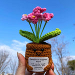 Handmade Crochet Emotional Support Plant Potted Flower