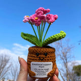 Handmade Crochet Emotional Support Plant Potted Flower